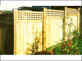Square Lattice Top Fence